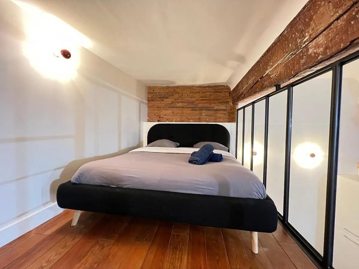 La Romance - Loft Ancien Au Coeur De Toulouse Apartment France