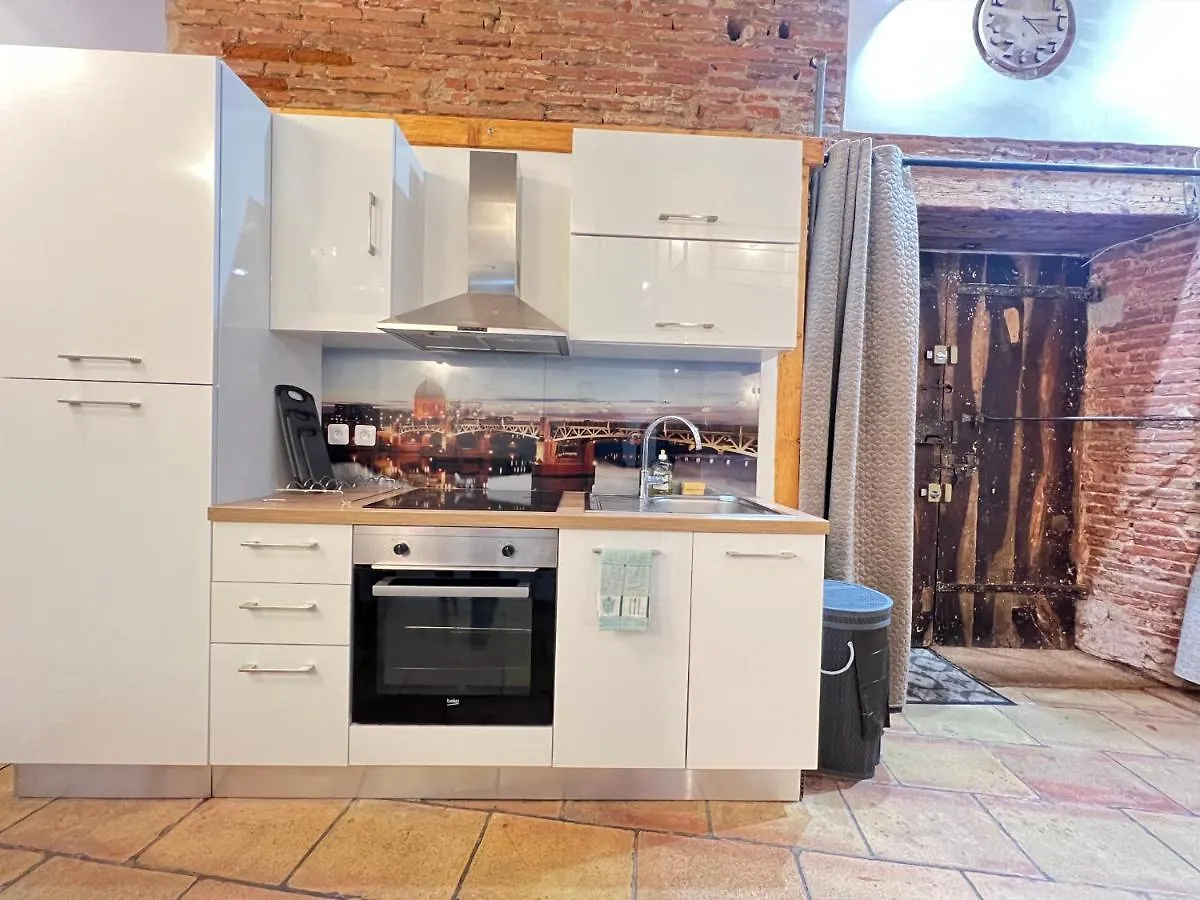 La Romance - Loft Ancien Au Coeur De Toulouse Apartment 0*,  France