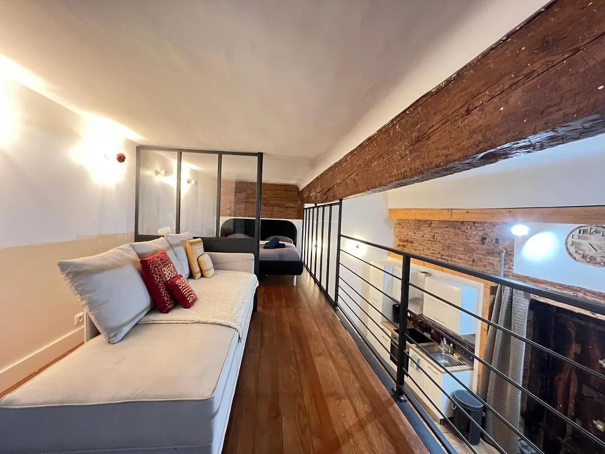 La Romance - Loft Ancien Au Coeur De Toulouse Apartment