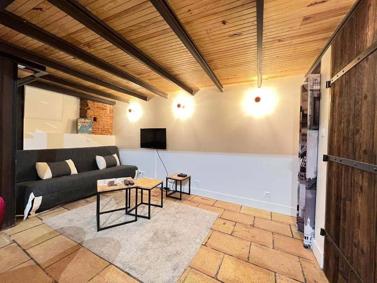 La Romance - Loft Ancien Au Coeur De Toulouse Apartment